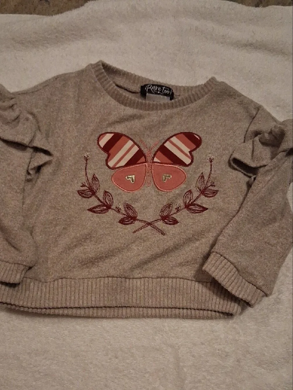 Girls' Rare Too 2t Butterfly Sweater & Rust Stripe Pant Matching Set